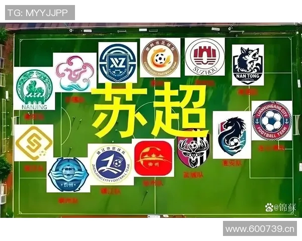 南京足球队灵活性引发热议球迷对战术调整的看法与期待